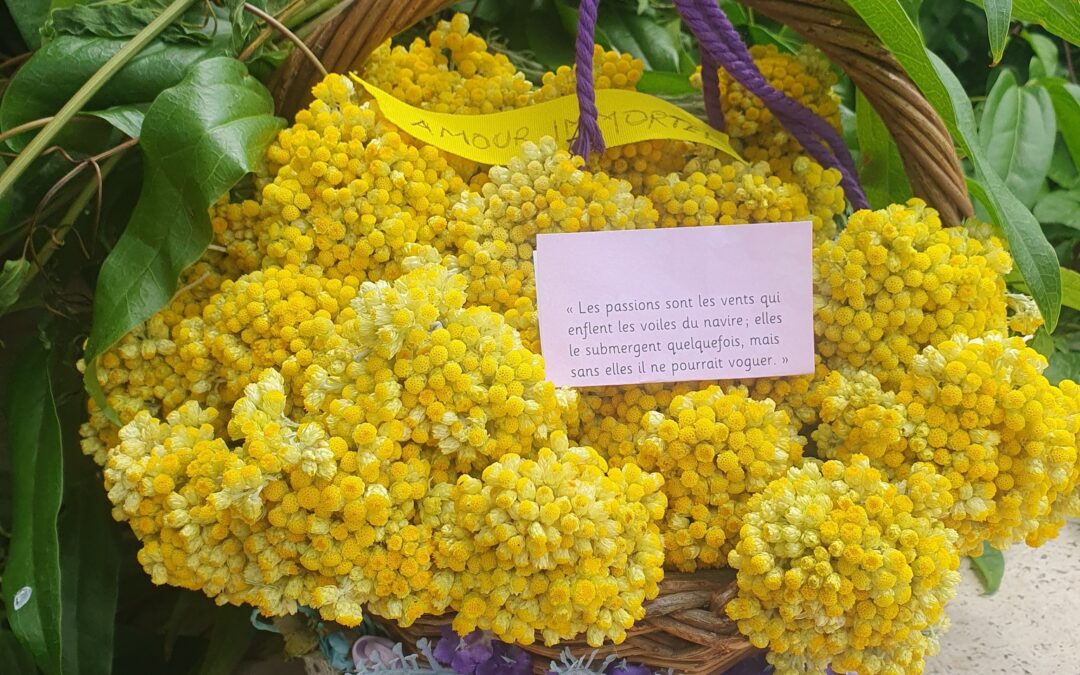 Les passions sont les vents qui enflent les voiles du navire ; elles le submergent quelquefois, mais sans elles il ne pourrait voguer.