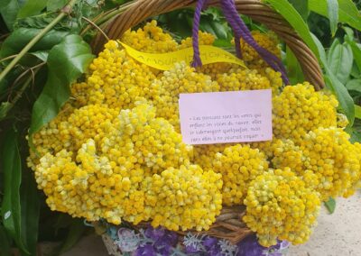 Les passions sont les vents qui enflent les voiles du navire ; elles le submergent quelquefois, mais sans elles il ne pourrait voguer.