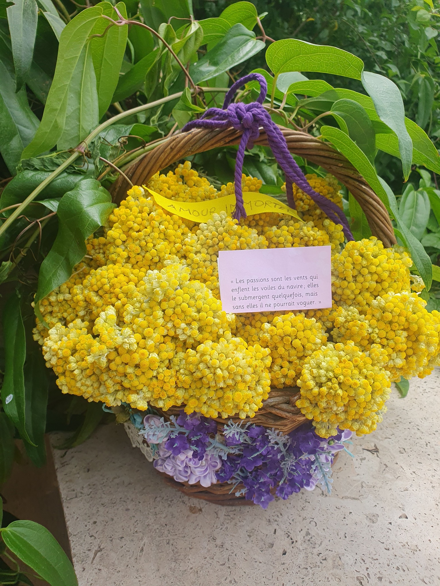 503752266_2145668272598857_2886897437673599726_n Les passions sont les vents qui enflent les voiles du navire ; elles le submergent quelquefois, mais sans elles il ne pourrait voguer.