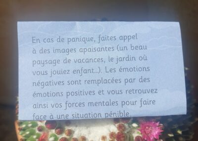 En cas de panique, faites appel à des images apaisante (un beau paysage de vacances, le jardin où vous jouiez enfant…). les émotions négatives sont remplacées par des émotion positives et vous retrouvez ainsi vos forces mentales pour faire face à une situation pénible.