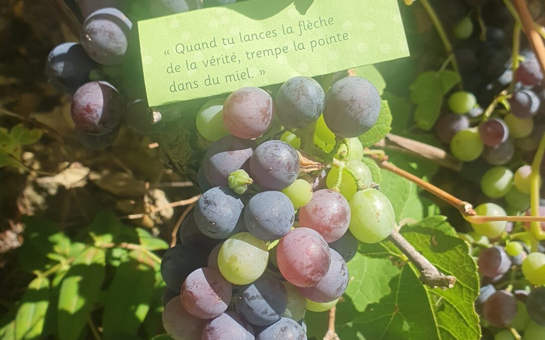 La flèche de la vérité