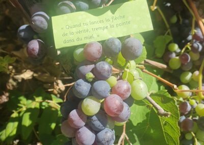 Quand tu lance la flèche de la vérité, trempe la pointe dans du miel
