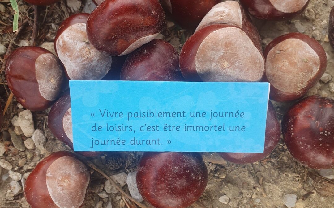 Vivre paisiblement une journée de loisir, c’est être immortel une journée durant.