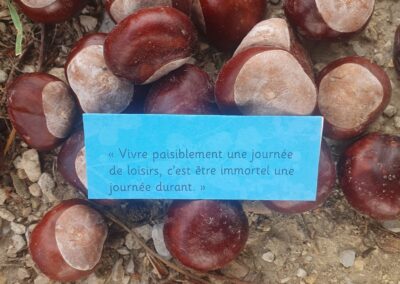 Vivre paisiblement une journée de loisir, c’est être immortel une journée durant.