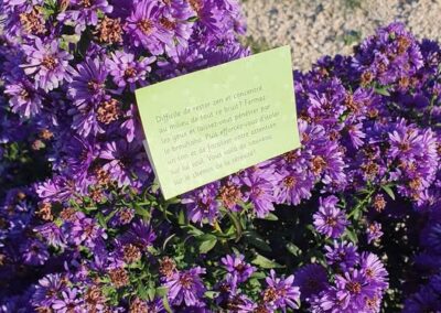 Difficile de rester zen et concentré au milieu de tout ce bruit? Fermez les yeux et laissez-vous pénétré par le brouhaha. Puis efforcez-vous d'isoler un son et de focaliser votre attention sur lui seul. Vous voilà de nouveau sur le chemin de la serenité.