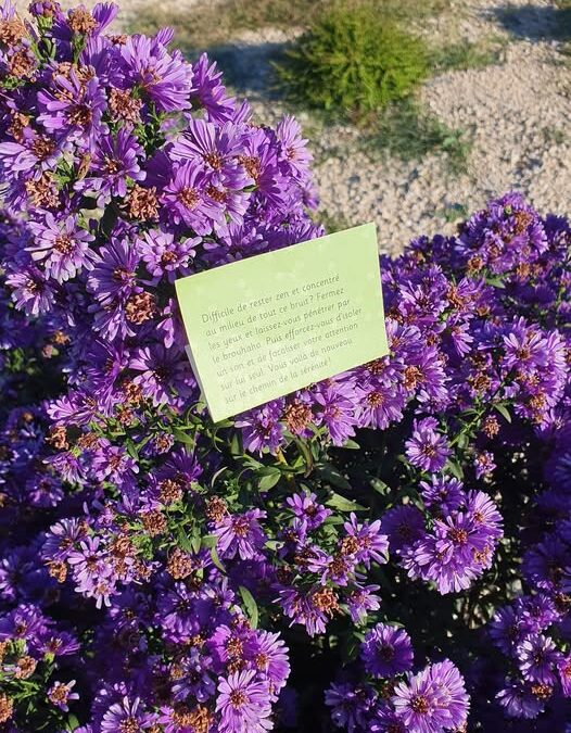 Difficile de rester zen et concentré au milieu de tout ce bruit? Fermez les yeux et laissez-vous pénétré par le brouhaha. Puis efforcez-vous d'isoler un son et de focaliser votre attention sur lui seul. Vous voilà de nouveau sur le chemin de la serenité.