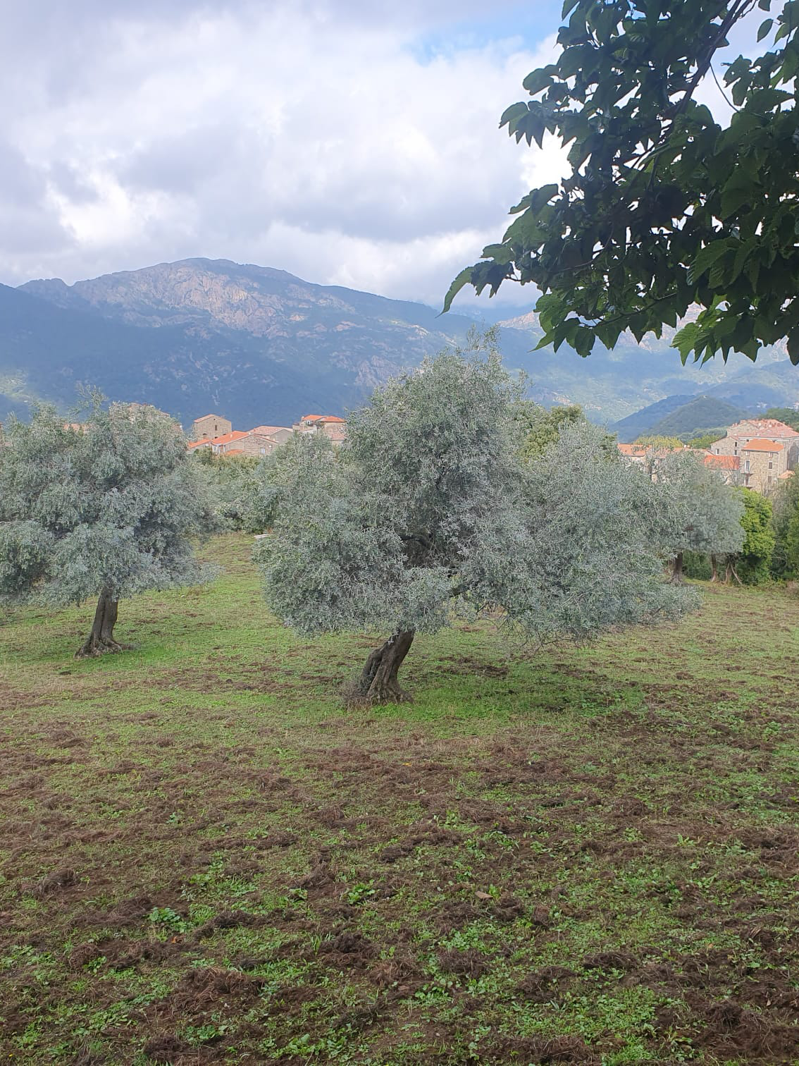 Nina Hernandez, sophrologue en Provence, séances de sophrologie et yoga des chakras.