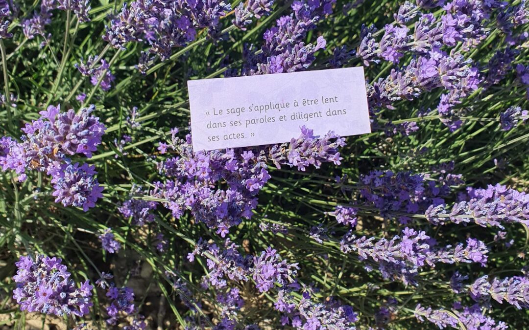 Le sage s’applique à être lent dans les paroles et diligent dans les actes