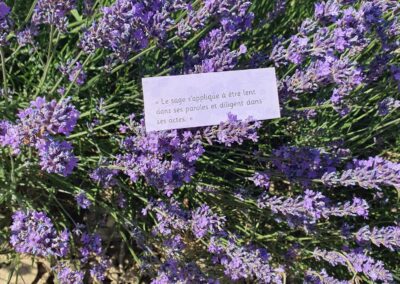 Le sage s’applique à être lent dans les paroles et diligent dans les actes