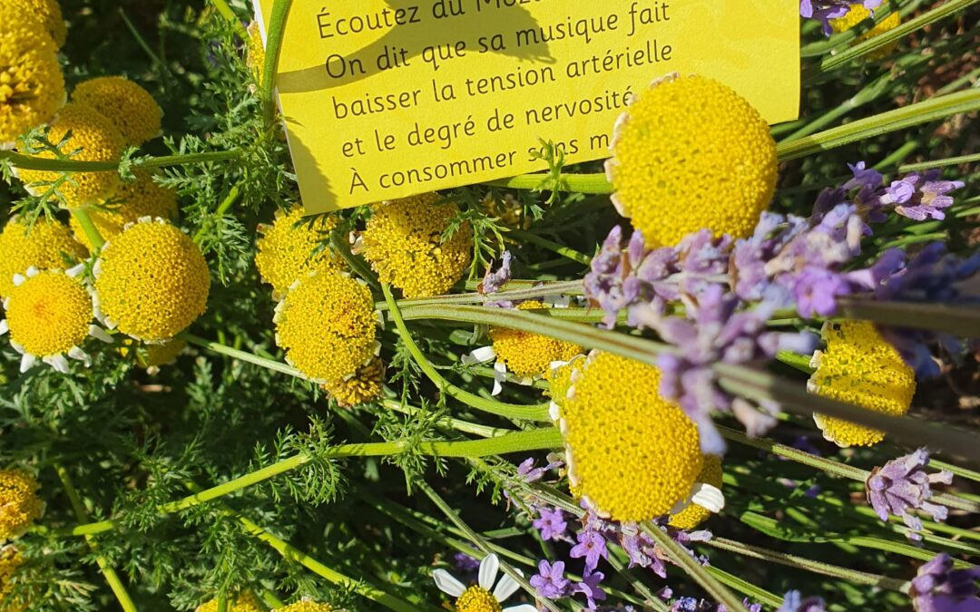 Écoutez du Mozart! On dit que la musique fait baisser la tension artérielle et le degré de nervosité. À consommer sans modération