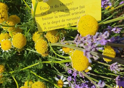 Écoutez du Mozart! On dit que la musique fait baisser la tension artérielle et le degré de nervosité. À consommer sans modération