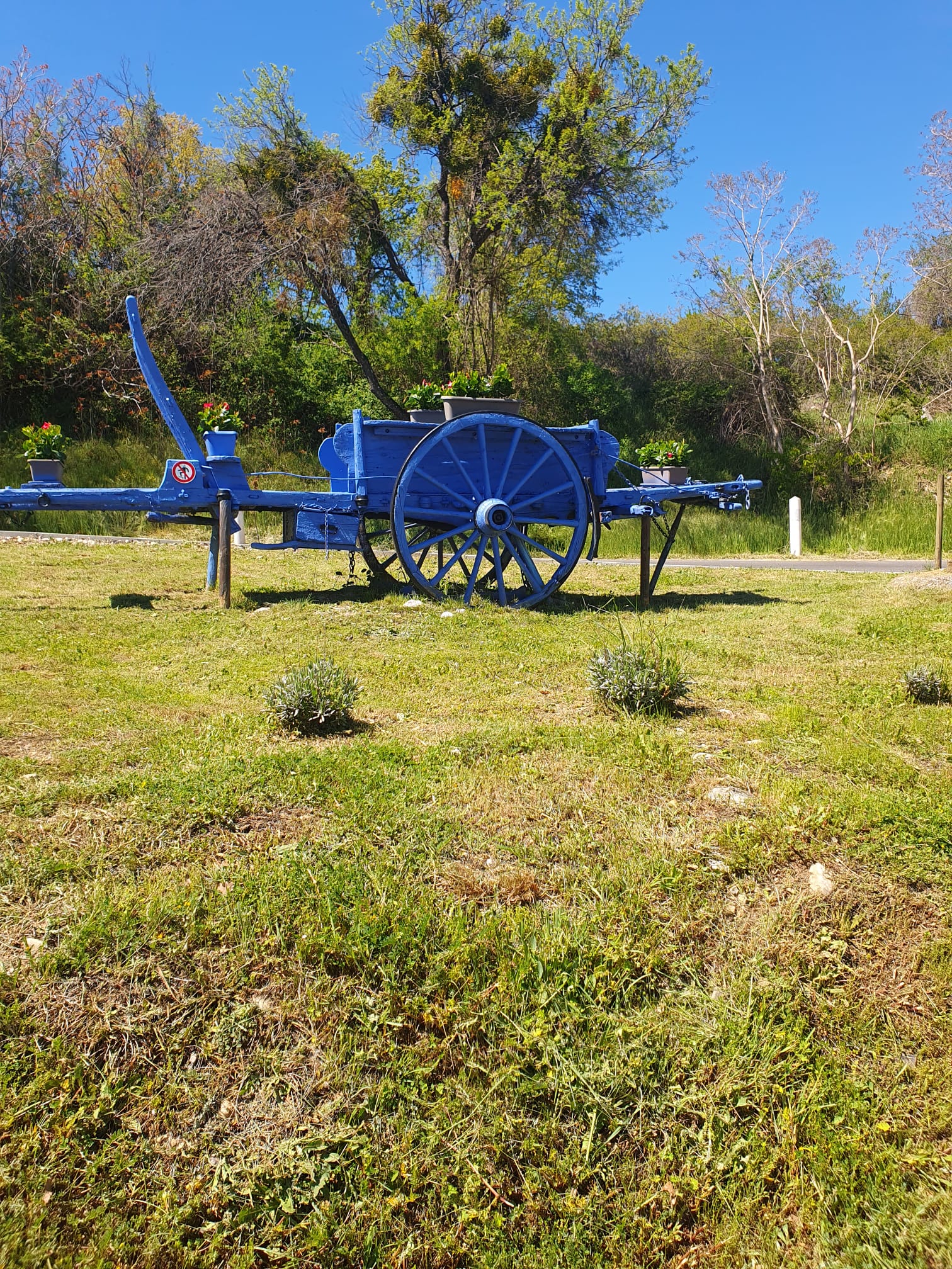 Sophrologue certifiée, Nina Hernandez vous guide avec bienveillance vers un mieux-être durable. Sophrologie caycédienne, méditation de pleine conscience et yoga des chakras en cabinet ou en visio